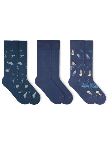 von Jungfeld Gemusterte Socken Classic & Icons Socken Bundle in Dunkelblau