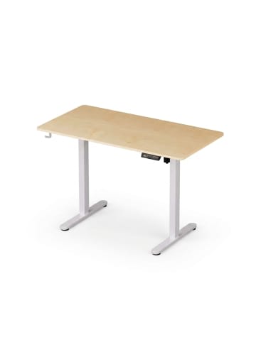 relaxdays Höhenverstellbarer Schreibtisch in Natur/ Weiß - (B)120 x (H)120 x (T)60 cm