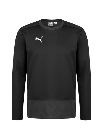 Puma Sweatshirt teamGOAL 23 in schwarz