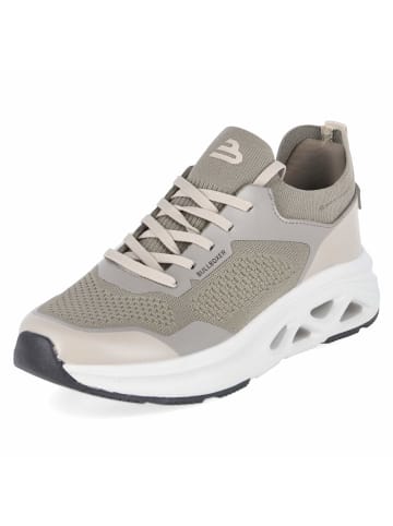 Bullboxer Low Sneaker in taupe