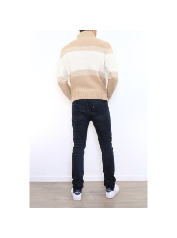 HopenLife Pullover EMOGEN in Beige