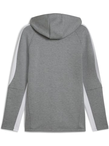 Puma Jacke "TeamEVOSTRIPE Hooded Jacket" in Grau
