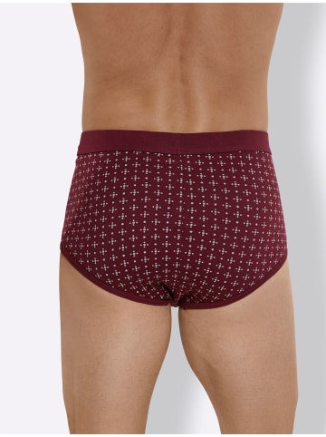 WITT WEIDEN Slip in bordeaux-bedruckt