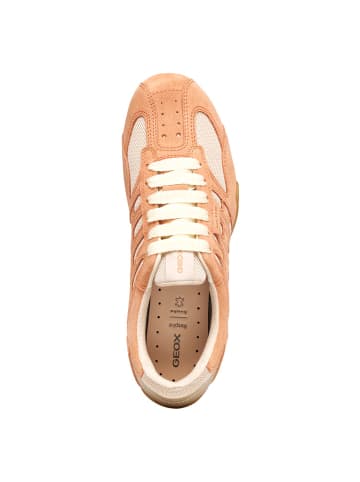 Geox Sneakers Low D Snake Original in bunt