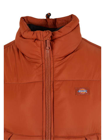 Dickies Winterjacken in gingerbread