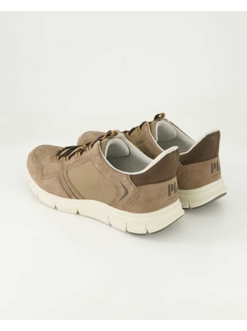 Pius Gabor Sneaker low in Braun