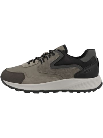 Geox Sneaker low U Terrestre A in grau