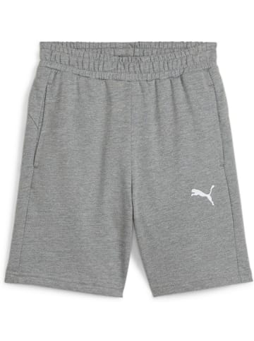 Puma Sporthose "TeamGoal CasuaLongsleeve Shorts Jr" in Grau