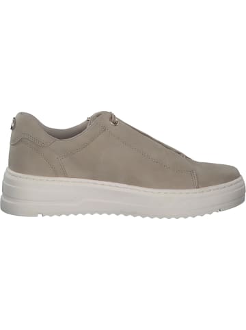 Marco Tozzi Schnürschuhe in dune