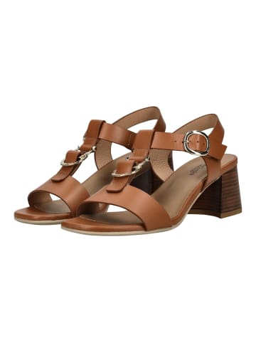 Nero Giardini Sandalen in Cognac