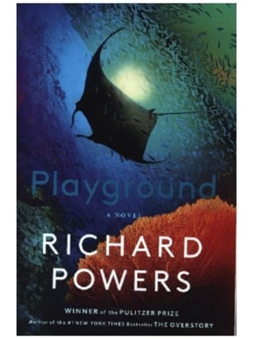 Norton Buch - Playground