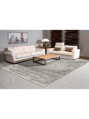 Hochflor Teppich Gamal Shaggy in Silbergrau