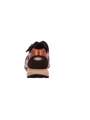 Gabor Schnürschuhe in kastanie