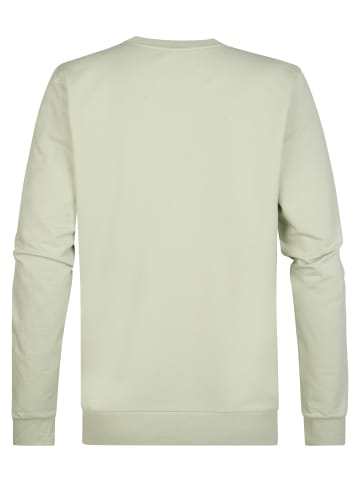 Petrol Industries Sweater mit Logo Seaviewpark in Grün