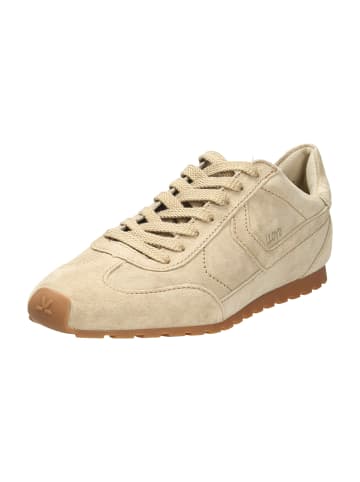 LLOYD Sneaker Low in Beige