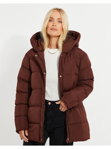 Threadbare Winterjacke THB Curve Hayley Puffer Jacket in Dunkelbraun