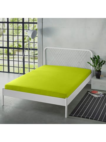 Erwin Müller Single-Jersey Spannbettlaken Freising in apfelgrün