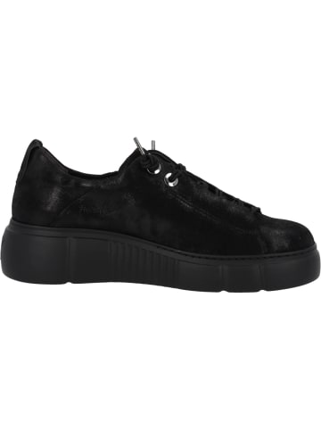 Paul Green Schnürschuhe in Schwarz