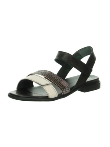 Think! Riemchen Sandalen für Damen in schwarz