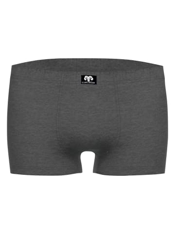 CECEBA Boxershort 2er Pack in Schwarz/Grau