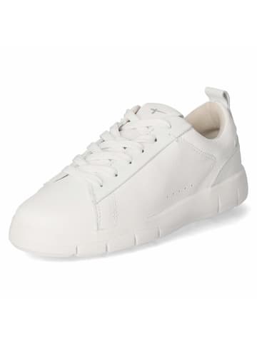 Tamaris Low Sneaker in weiß