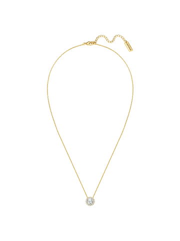 Yokoamii Kette aus Messing mit Zirkonia in gelbgold