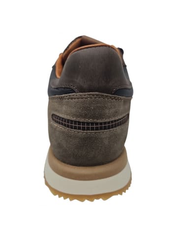 Cetti Sneaker Ante Napa Moka in Braun