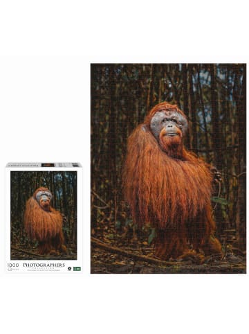 Carletto AMBASSADOR - Orang-Utan 1000 Teile (Donal Boyd)