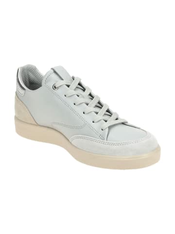 Ecco Sneaker Low in Grau