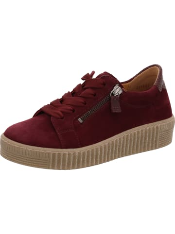 Gabor Sneaker Low in bordeaux