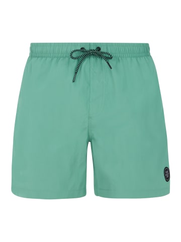 Protest " FAST in Frosty Green