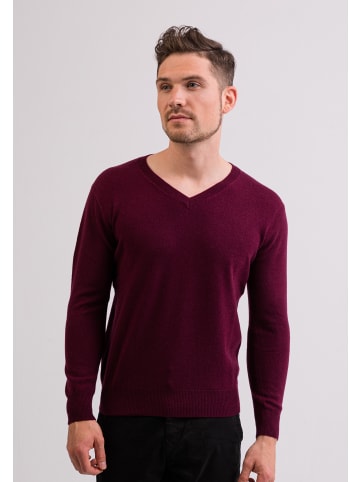 CASH-MERE.CH V-Ausschnitt Pullover in Cranberry Rot