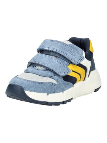 Geox Sneaker in Blau/Gelb