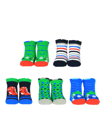 Cucamelon Socken 5er Pack in Dinosaurier