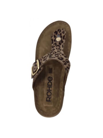 ROHDE Zehensteg  in Beige