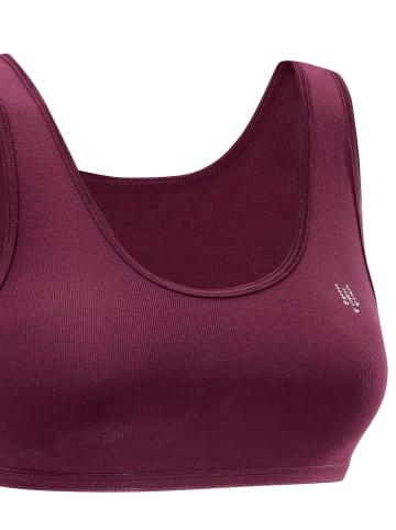 SPEIDEL Bustier in marine + weiß + bordeaux