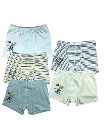 LOREZA 5er Set Boxershorts - Dino - Bunt