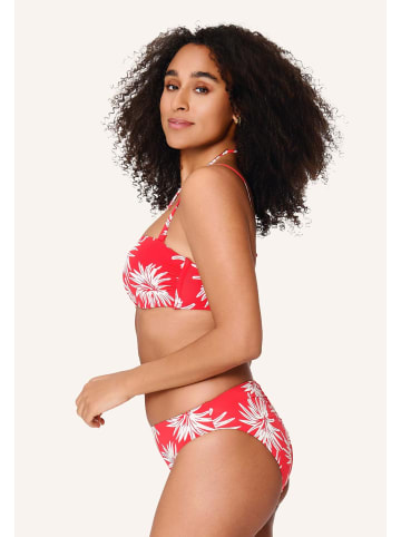 LINGADORE Balconette Bikini top Leaf stripe