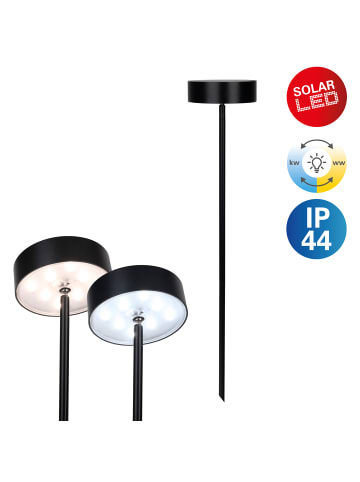 näve LED Solarleuchte "LAUPHEIM" in schwarz - (L)10 cm x (B)10 cm x (H)56 cm