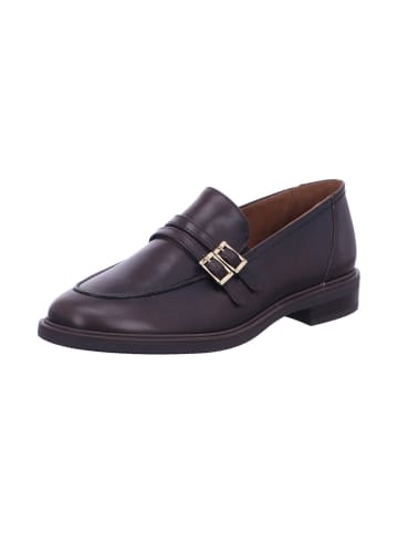 Paul Green Slipper in braun