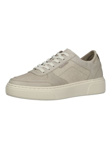 Bullboxer Sneaker in Beige