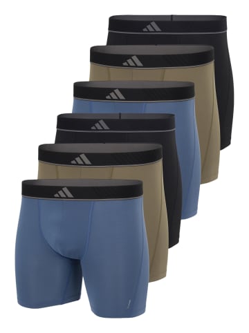 Adidas Sportswear Long Short / Pant Active Micro Flex Eco in Schwarz / grün / blau