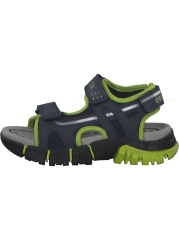 Geox Sandalen in navy/lime