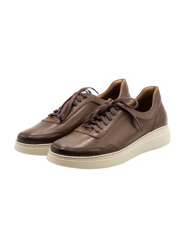 MO Leder Sneakers in Braun