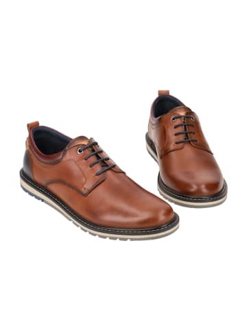 Pikolinos Klassische Schnürschuhe in Braun
