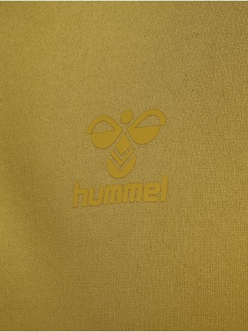 Hummel Hummel Kapuzenpullover Hmlcima Multisport Herren in ANTIQUE GOLD