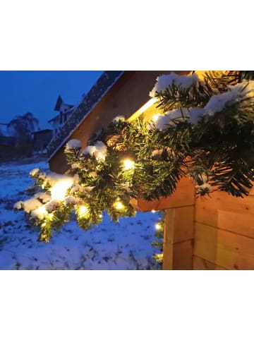 FHS LED Girlande mit integrierter Lichterkette mit Timerfunktion in Grün