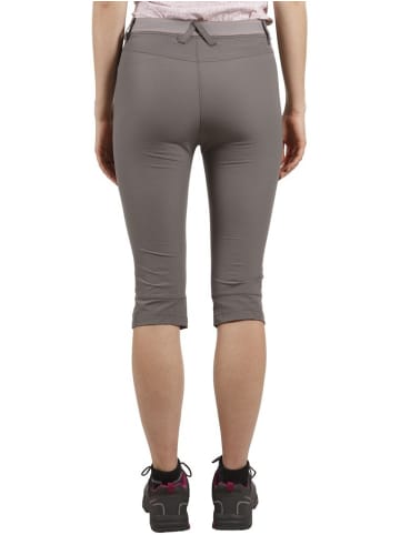 Trespass Wanderhose in Grau