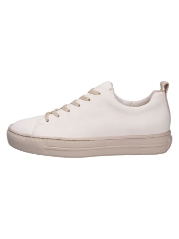Paul Green Sneaker in beige