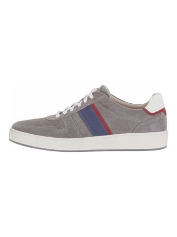 Pius Gabor Sneaker Ash